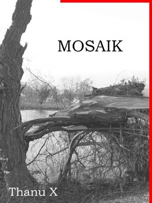 cover image of Mosaik